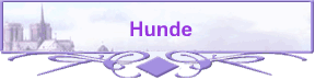 Hunde