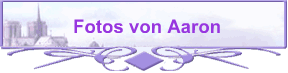 Fotos von Aaron